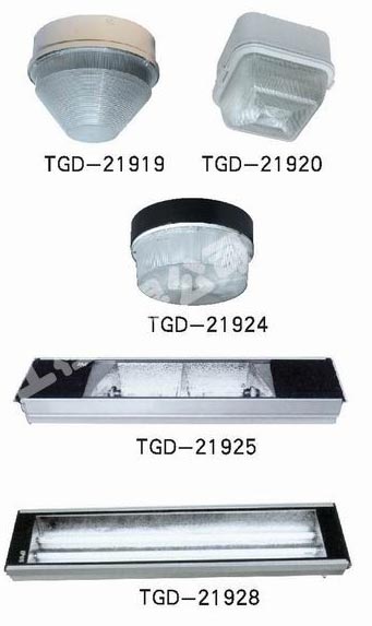 TGD-21919 投光灯